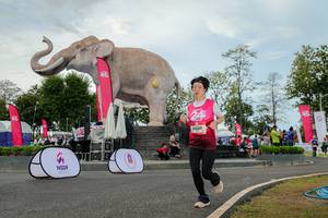 BIB: 
                            <button type="button" onclick="openModal(26528783)" class="btn btn-primary btn-sm float-right btn-popup" data-toggle="modal" data-target=".modal-high-quality">
                        <i class="fas fa-shopping-cart"></i> Add to Cart
                    </button>
                                            <button type="button" onclick="isThisMe(26528783, true)" class="btn btn-success btn-sm float-right btn-popup btn-isme hidden" data-toggle="tooltip" data-placement="bottom" title="นี่คือรูปของคุณใช่ไหม คลิกที่นี่เพื่อเอาเข้าอัลบั้ม">
                        <i class="fas fa-plus"></i> Add to album
                    </button>
                    <button type="button" onclick="isThisMe(26528783, false)" class="btn btn-warning btn-sm float-right btn-popup btn-isnotme hidden">
                        <i class="fas fa-ban"></i> Remove from album
                    </button>